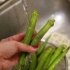 Madlavning okra