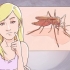 At skelne mellem malaria, dengue og chikungunya
