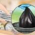 Slip af med væggelus naturligt