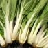 Skære pak choi i skiver