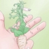 Beskæring af petunia