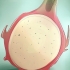 Dyrkning af pitaya
