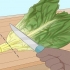 Holde salat frisk