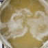 Laver spaghetti