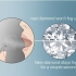 Afgøre, om en diamant er ægte