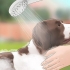 Hold fluer væk fra hunde