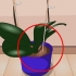 Pleje af indendørs planter