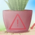 Pleje af en sansevieria