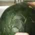 Frysning af vandmelon