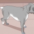 Se om en hund har ondt