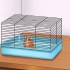 Få din hamster til at stole på dig